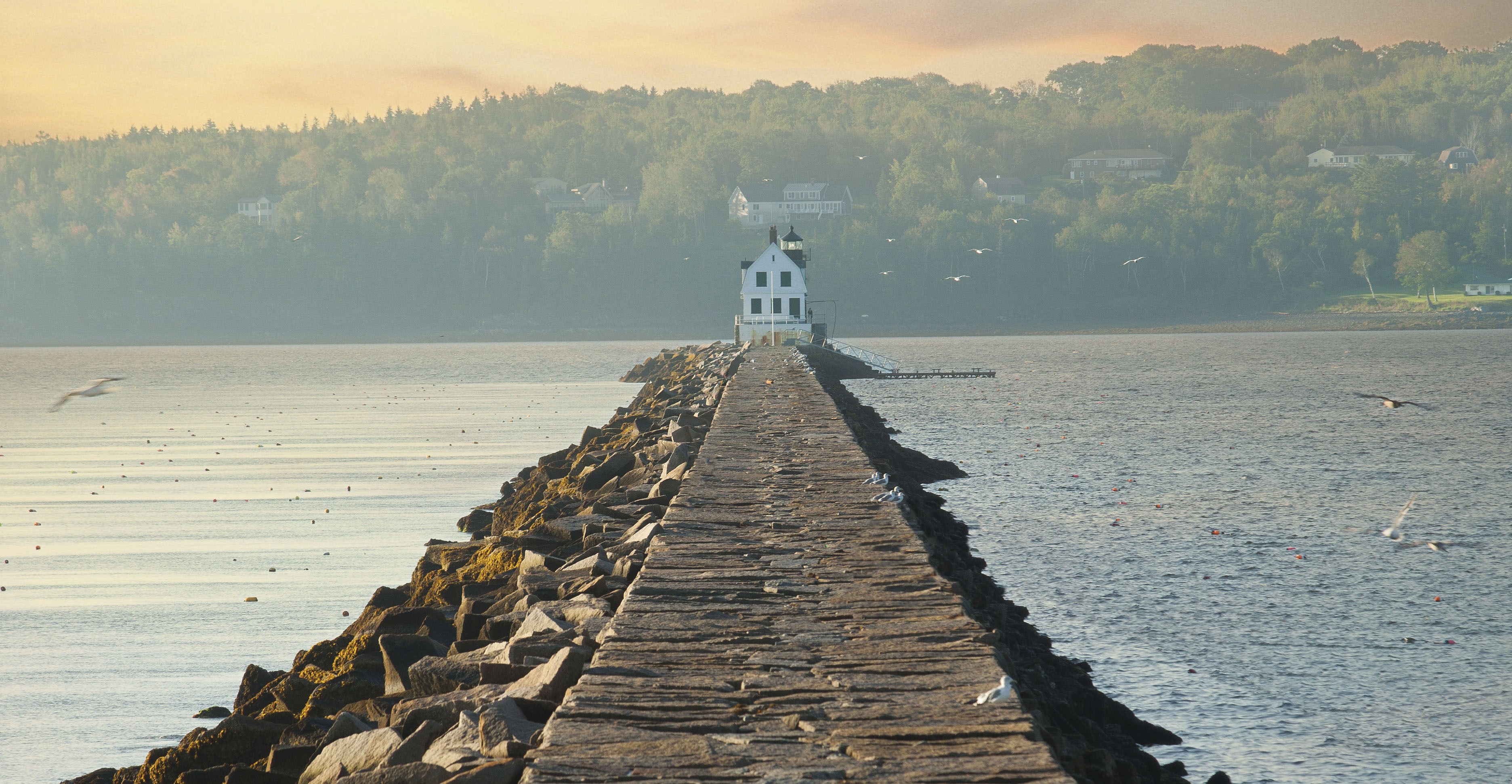 resort-image-cover